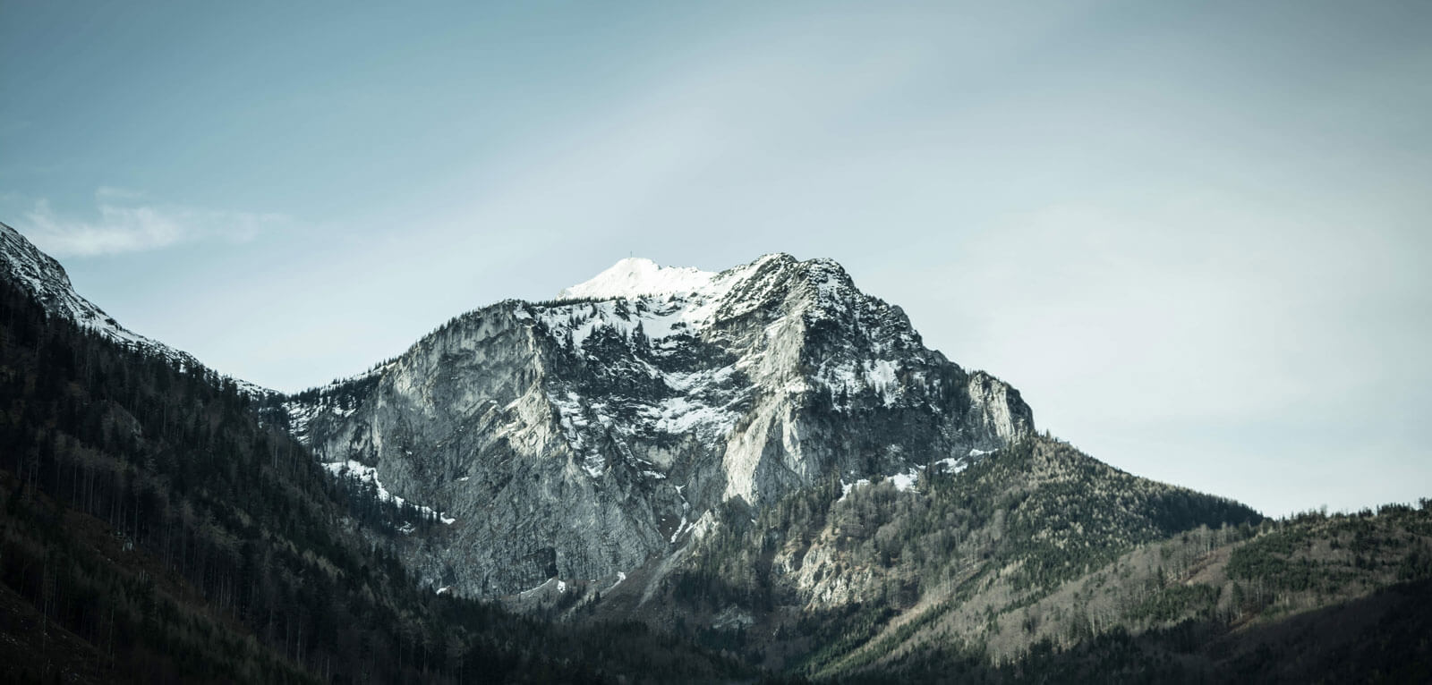 Odoo image et bloc de texte